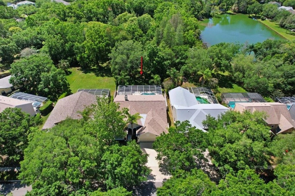 4943 Ebensburg Dr, Tampa FL  33647-1383 exterior