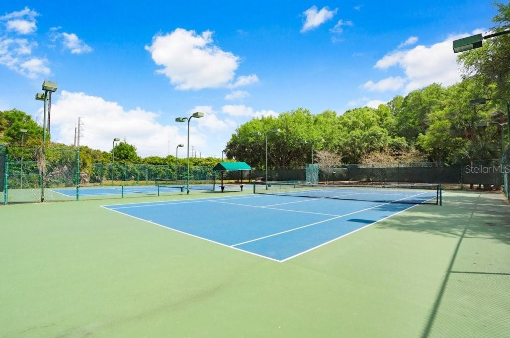 4943 Ebensburg Dr, Tampa FL  33647-1383 exterior