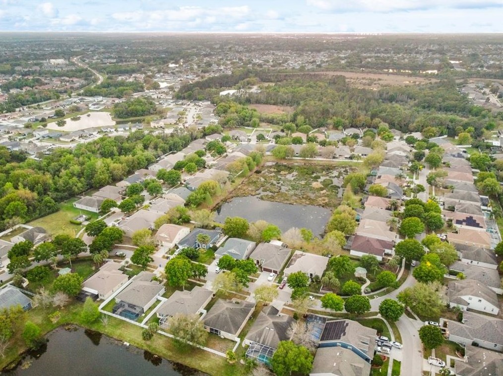 11806 Summer Spg Dr, Riverview FL 33579-4074 exterior