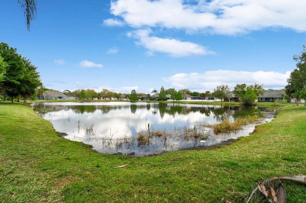 11806 Summer Spg Dr, Riverview FL 33579-4074 exterior