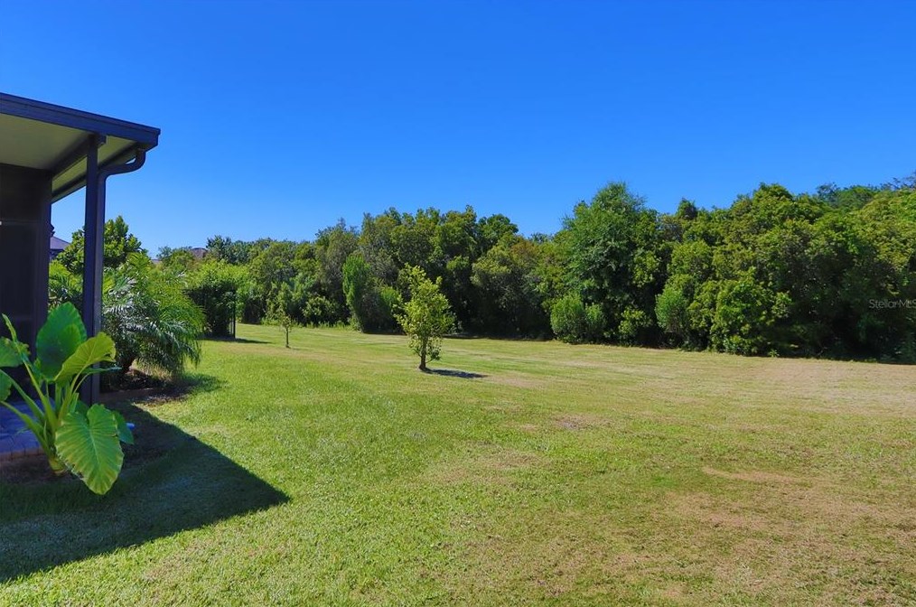 9216 European Olive Way, Riverview FL  33578-8678 exterior