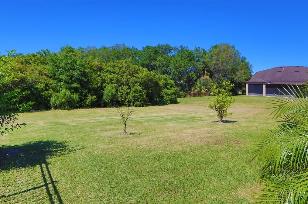 9216 European Olive Way, Riverview FL  33578-8678 exterior