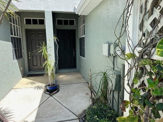 2639 Chelsea Manor Blvd, Brandon, FL 33510