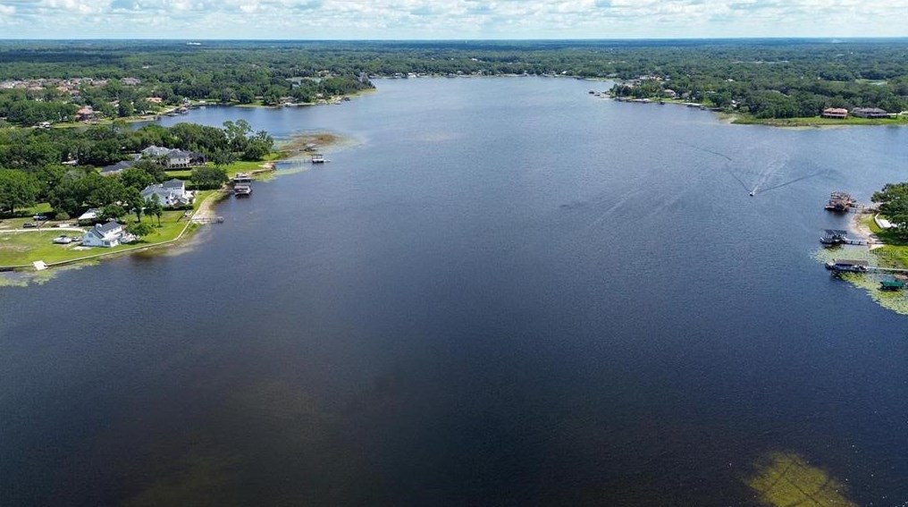 13709 Juniper Blossom Dr, Tampa FL  33618-3339 exterior