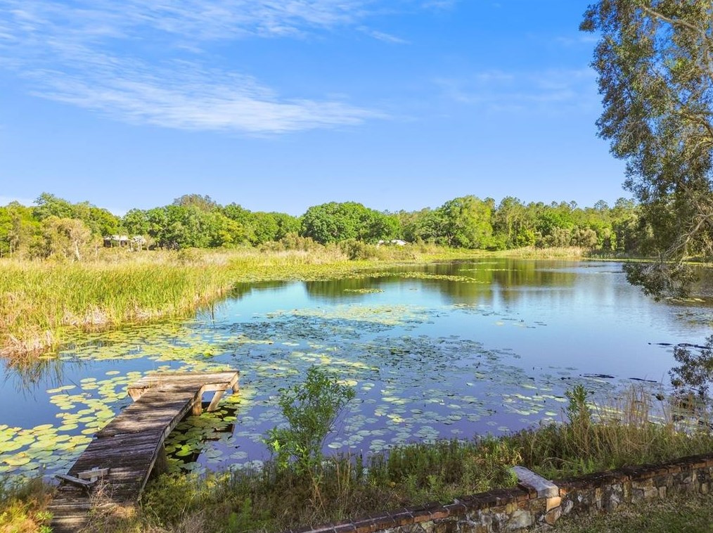 5691 Drexel Rd, Land O Lakes, FL 34638-3010