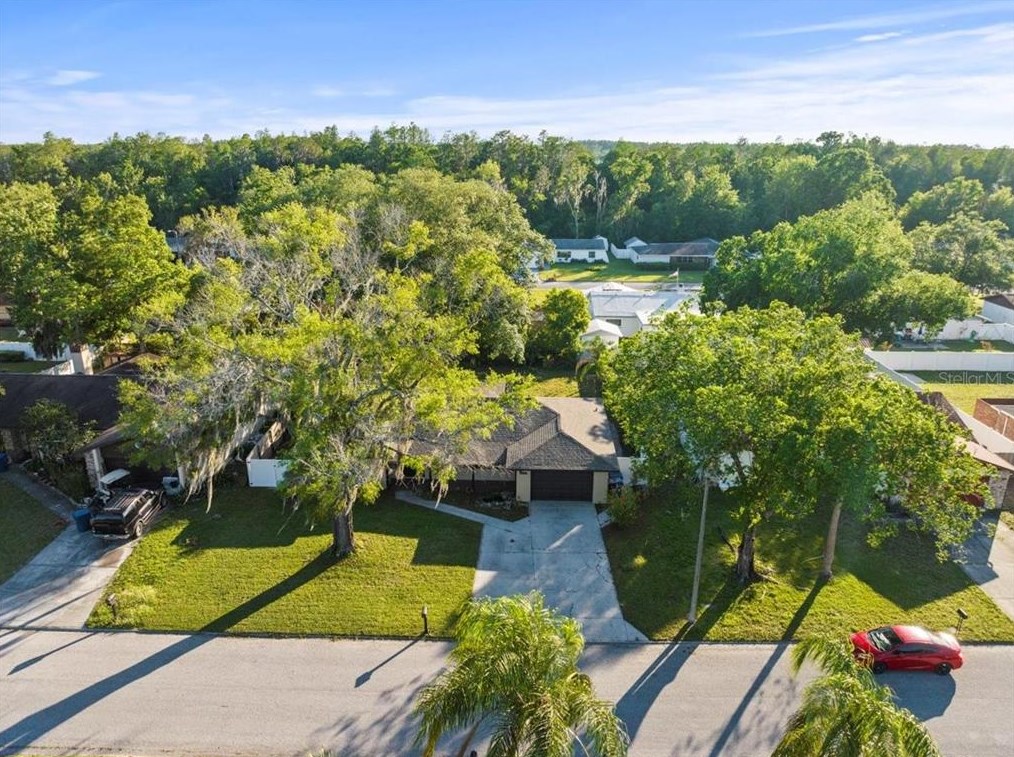 26728 Hickory Loop, Lutz, FL 33559