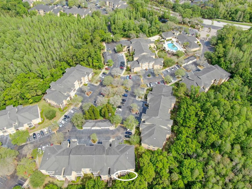 5125 Palm Springs Blvd, Tampa FL 11105-5020 exterior