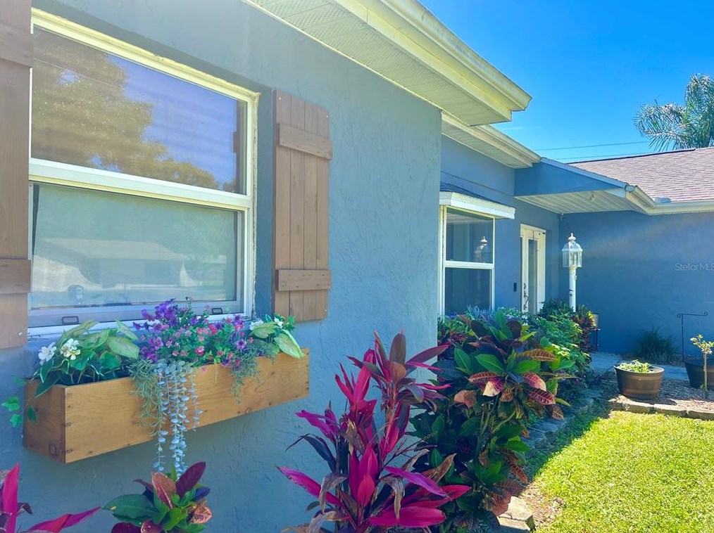 22038 Heatherwood Ln, Land O Lakes, FL 34639-4567