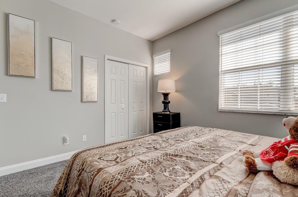 10302 Stone Moss Ave, Tampa FL 33647-3533 exterior