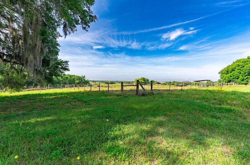 14748 Matt Barthle Rd, Dade City FL  33525-7332 exterior