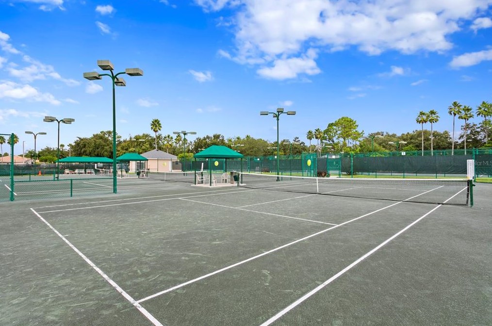 17922 Arbor Haven Dr, Tampa FL  33647-2917 exterior