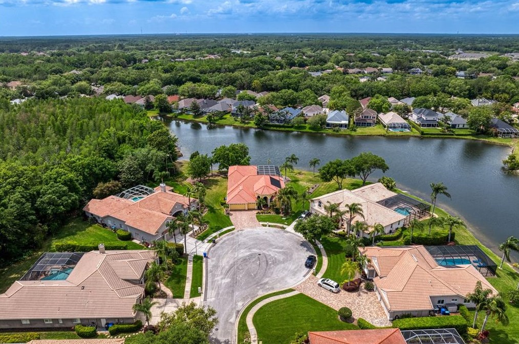 17922 Arbor Haven Dr, Tampa FL  33647-2917 exterior