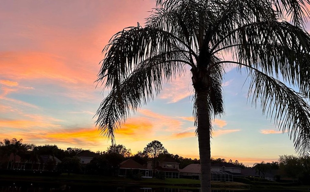 17922 Arbor Haven Dr, Tampa FL  33647-2917 exterior