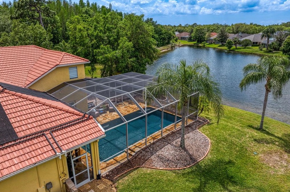 17922 Arbor Haven Dr, Tampa FL  33647-2917 exterior