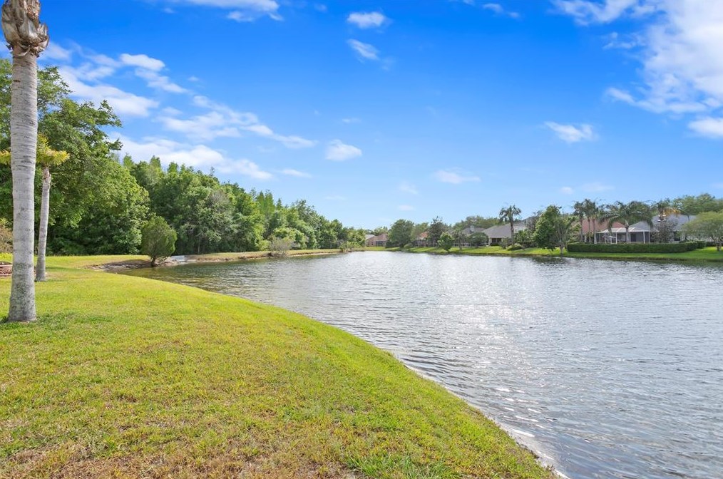 17922 Arbor Haven Dr, Tampa FL  33647-2917 exterior