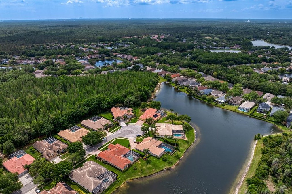 17922 Arbor Haven Dr, Tampa FL  33647-2917 exterior