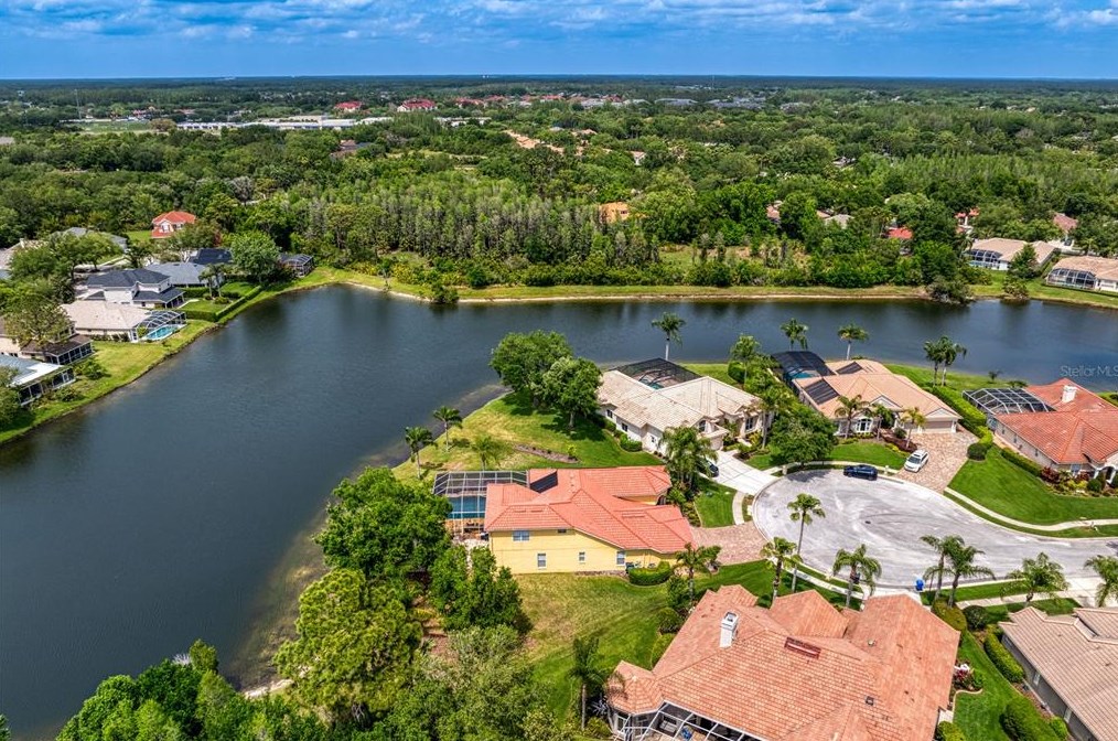 17922 Arbor Haven Dr, Tampa FL  33647-2917 exterior