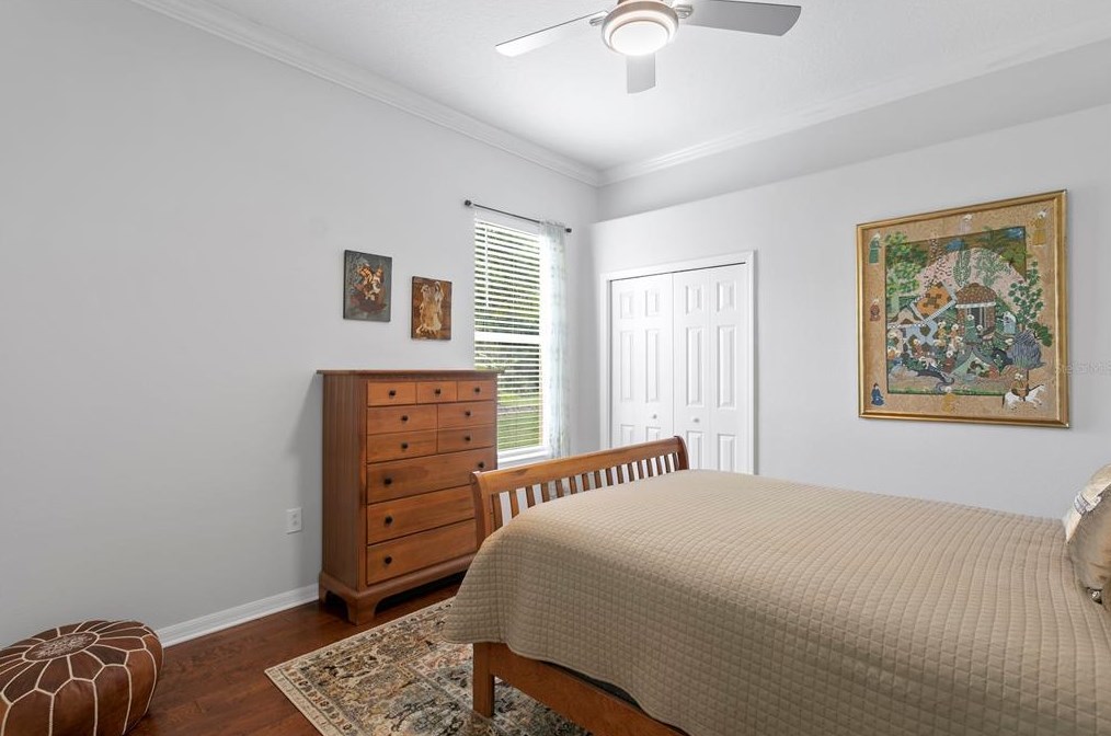 17922 Arbor Haven Dr, Tampa FL  33647-2917 exterior