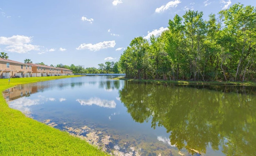 4220 Winding River Way, Land O Lakes FL  34639-5696 exterior