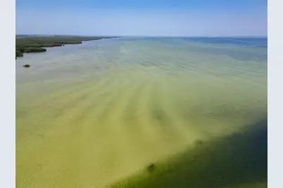 1013 Symphony Isles Boulevard, Apollo Beach, FL 33572 - Photo 18