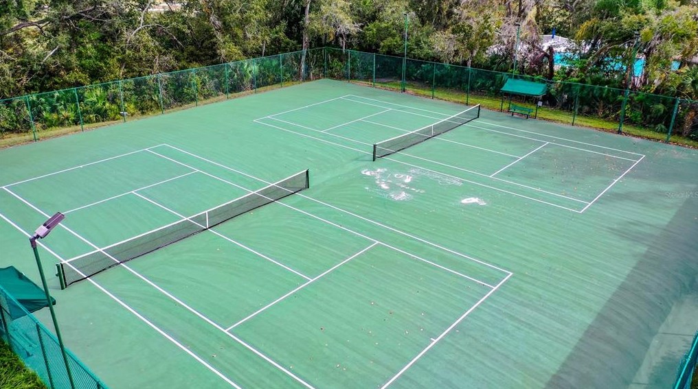 5500 Passing Pne Ln, Zephyrhills FL 33541-9620 exterior