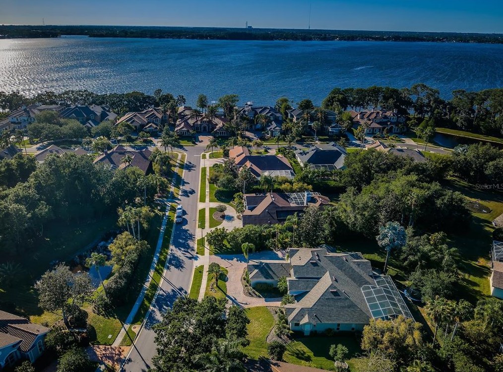 5439 Mira Vista Dr, Palm Harbor, FL 34685