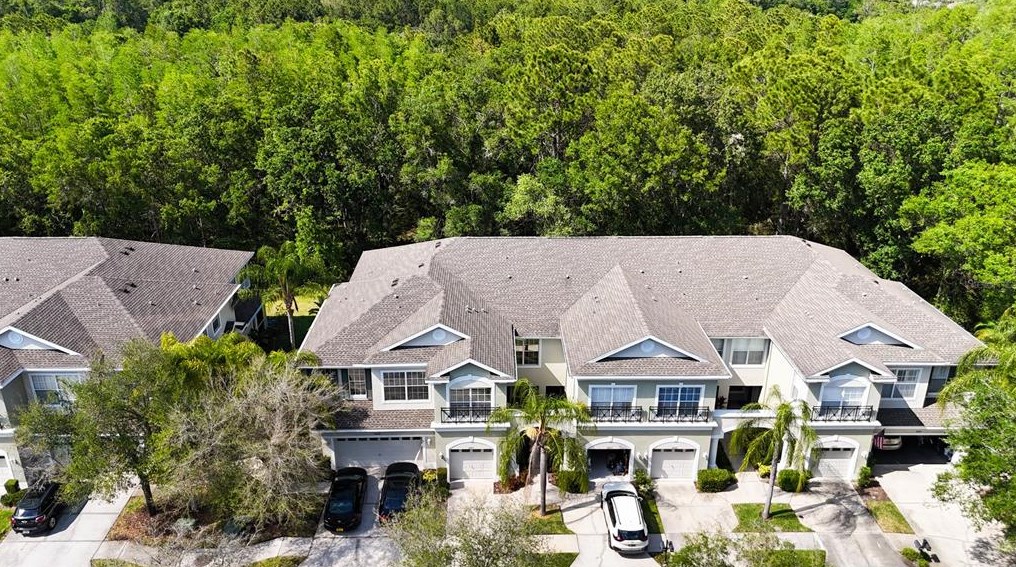 12419 Chase Grove Dr, Tampa FL  33626-1615 exterior