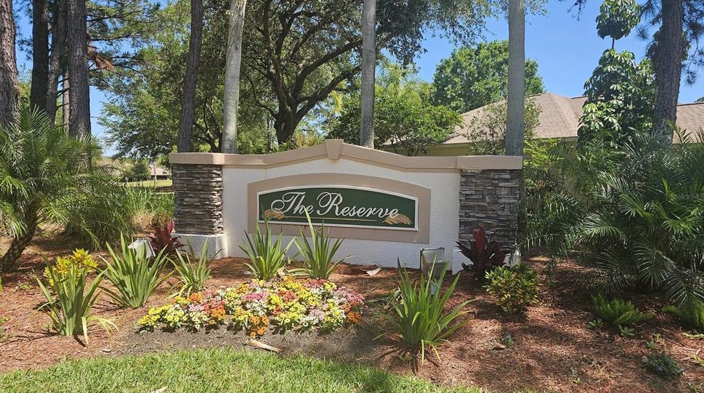3046 Banyan Hill Ln, Land O Lakes, FL 34639-6787