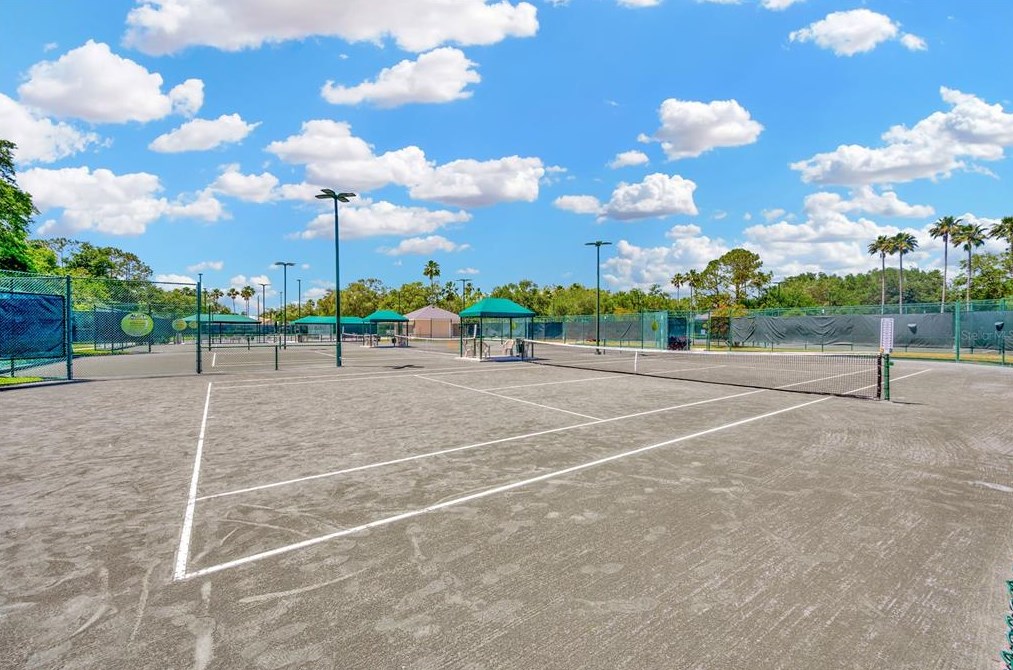 10254 Arbor Side Dr, Tampa FL  33647-2951 exterior