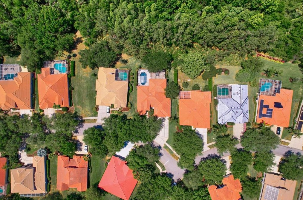 10254 Arbor Side Dr, Tampa FL  33647-2951 exterior