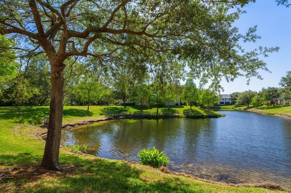 546 Harbor Ridge Dr, Palm Harbor, FL 34683