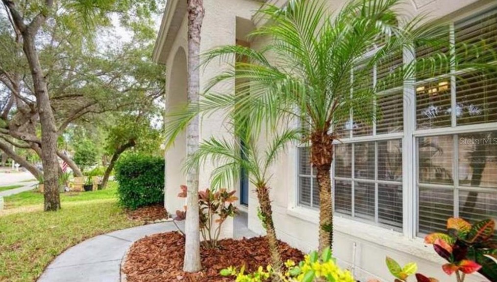 1821 Longview Ln, Tarpon Springs, FL 34689-1980