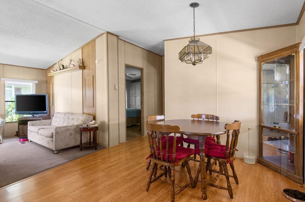 38760 Vulcan Cir, Zephyrhills FL exterior