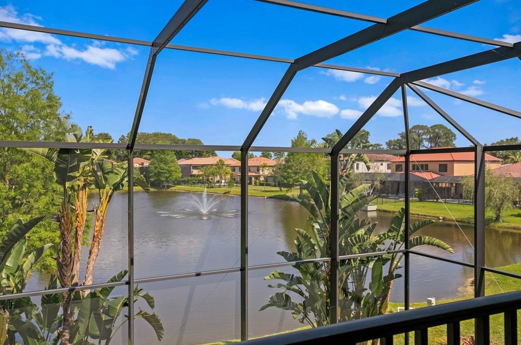 4489 Grand Preserve Pl, Palm Harbor FL  34684-1047 exterior