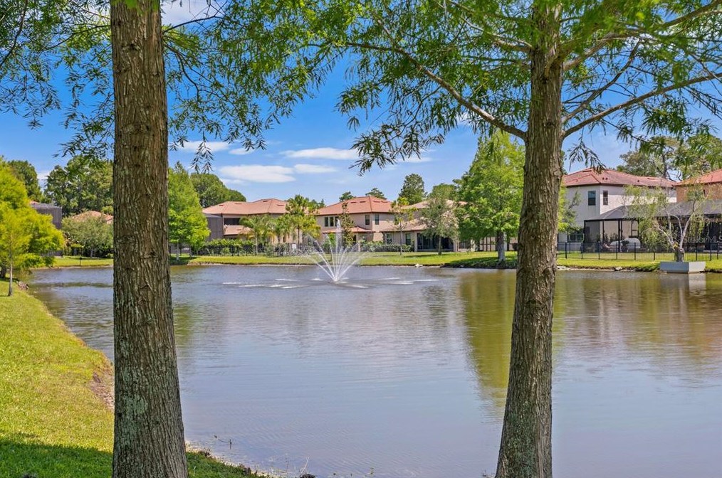 4489 Grand Preserve Pl, Palm Harbor FL  34684-1047 exterior