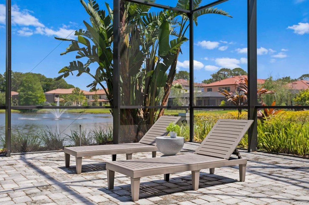 4489 Grand Preserve Pl, Palm Harbor FL  34684-1047 exterior