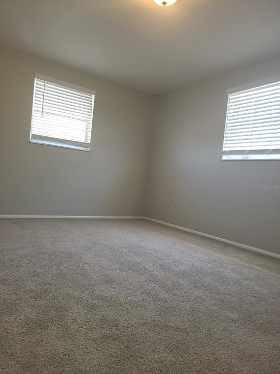 3451 Wiltshire Dr, Tarpon Springs FL  34691-1240 exterior