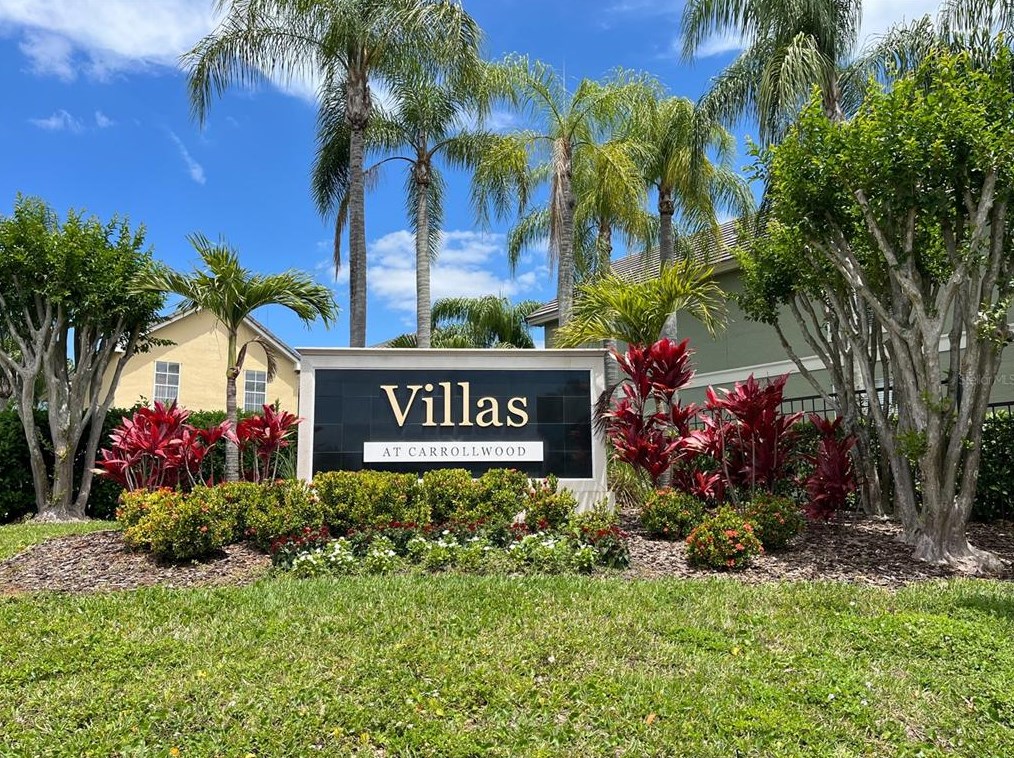 4004 Foxtail Palm Ct, Tampa FL 33624-2382 exterior