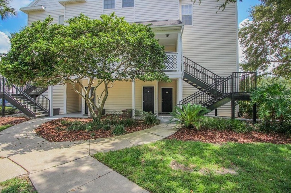 3304 Haviland Ct #203, Palm Harbor, FL 34684