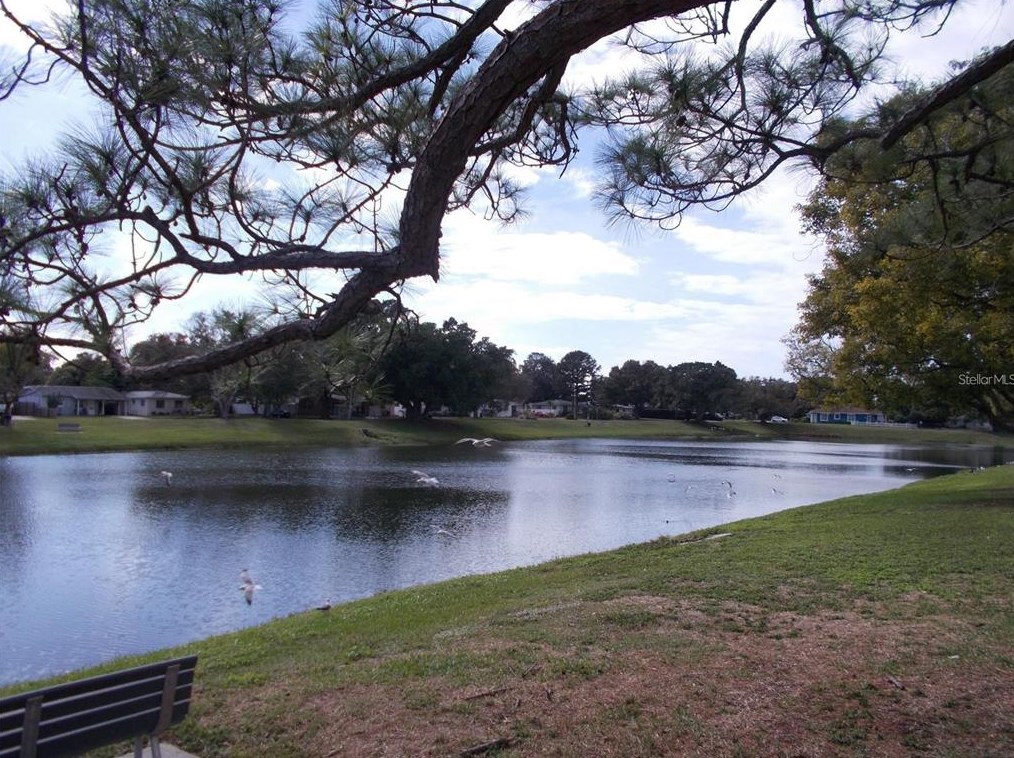 4071 34th Ave, Saint Petersburg FL  33713-1264 exterior