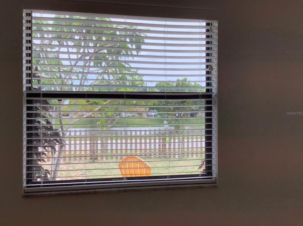 4071 34th Ave, Saint Petersburg FL  33713-1264 exterior