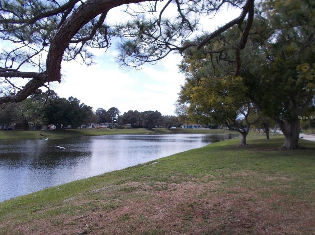 4071 34th Ave, Saint Petersburg FL  33713-1264 exterior