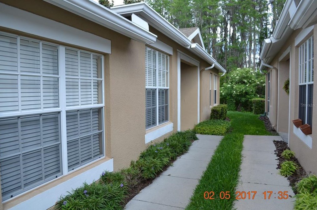 2834 Tanglewylde Dr, Land O Lakes, FL 34638