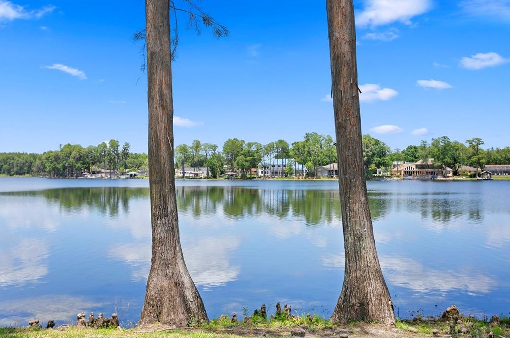 3133 Lk Ellen Dr, Tampa FL 33618-3600 exterior