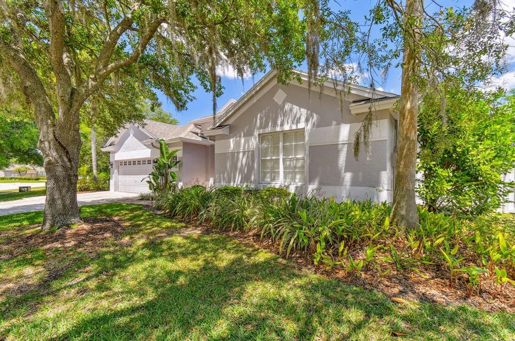 19204 Wind Dancer St, Lutz, FL 33558