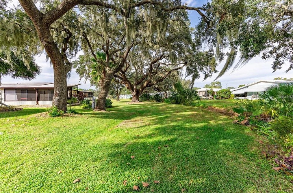 36341 Bonney Dr, Zephyrhills FL 33541-0784 exterior