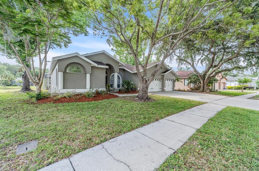 4348 Ridgemoor Dr N, Palm Harbor, FL 34685