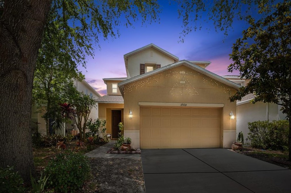 17539 Balmaha Dr, Land O Lakes, FL 34638-7848