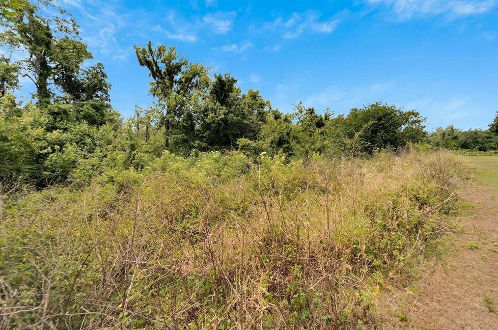 6029 Bob Head Rd, Plant City FL  33565-4916 exterior