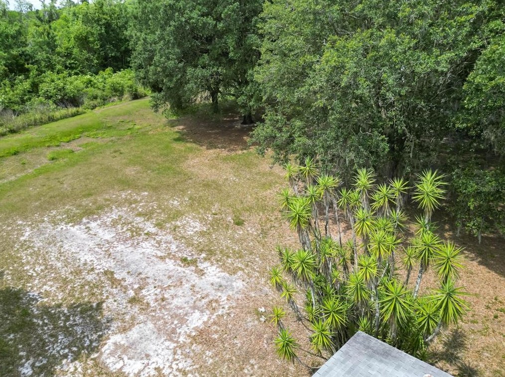 6029 Bob Head Rd, Plant City FL  33565-4916 exterior